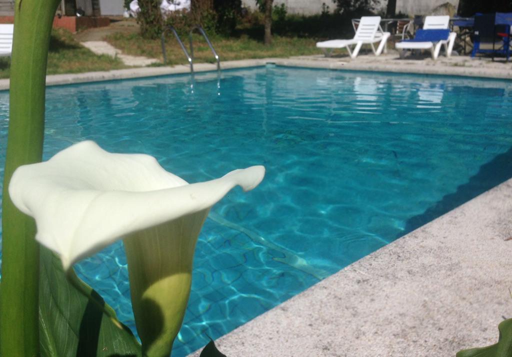Hotel Vida Playa Paxarinas Portonovo Esterno foto